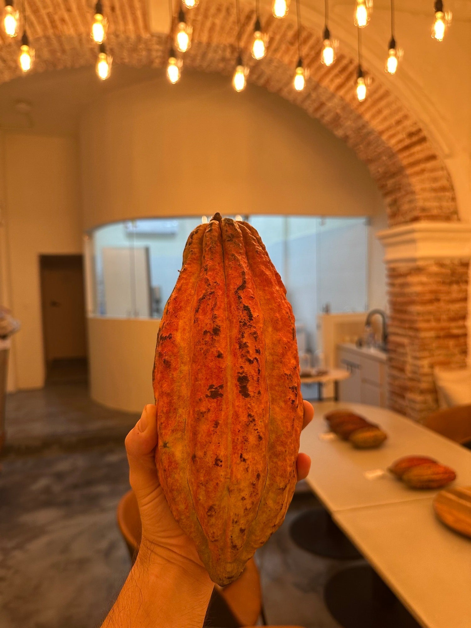 Magno Chocolates cacao tasting experience inside Cartagena's Walled City