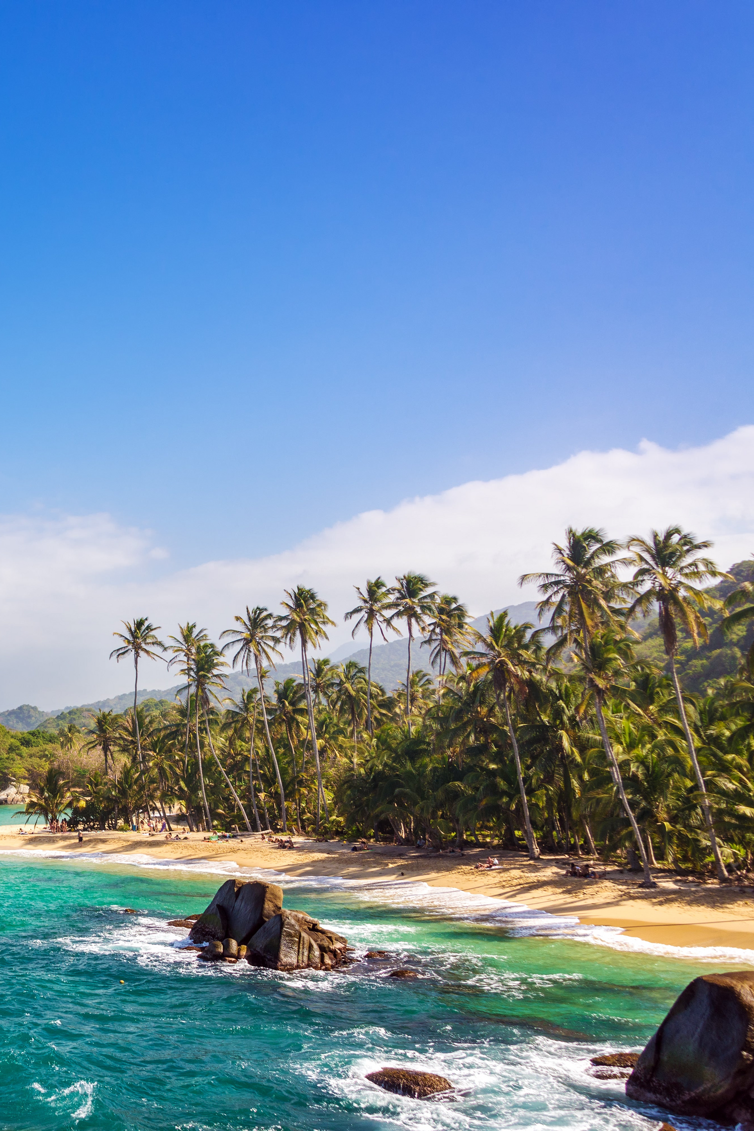 A beach with palm trees in the Sierra Nevada region of Colombia and important cacao growing region