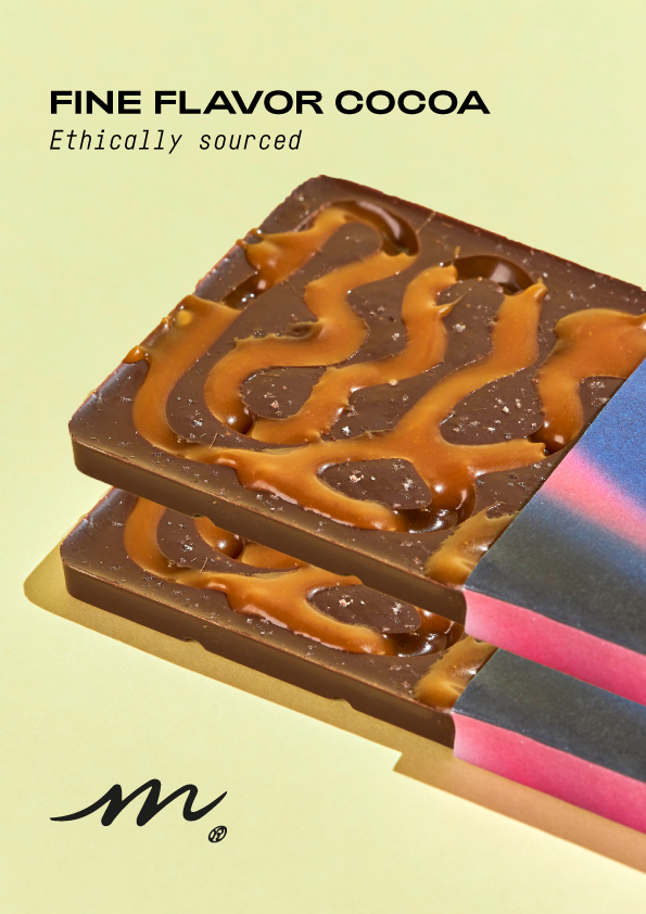 Salted Caramel Chocolate Bar (2 pcs)