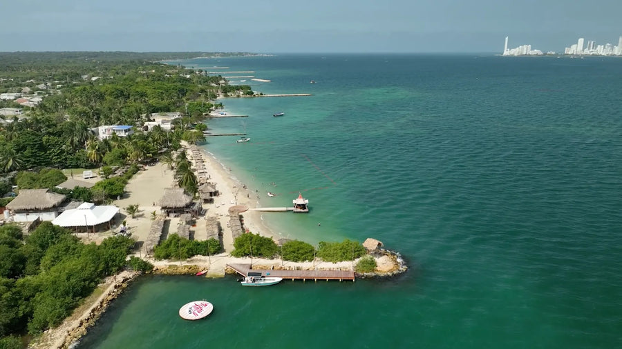 Fenix Beach Club