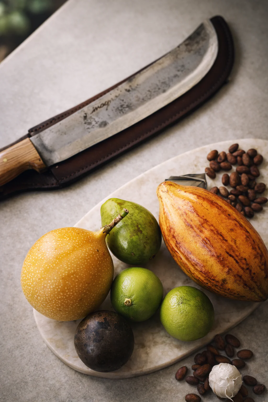 Cartagena Chocolate & Exotic Fruit Tasting Experience