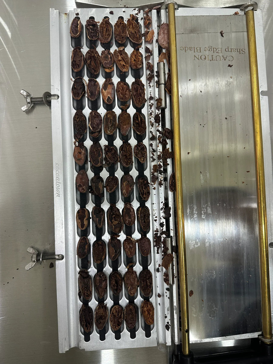 Cartagena Chocolate & Exotic Fruit Tasting Experience