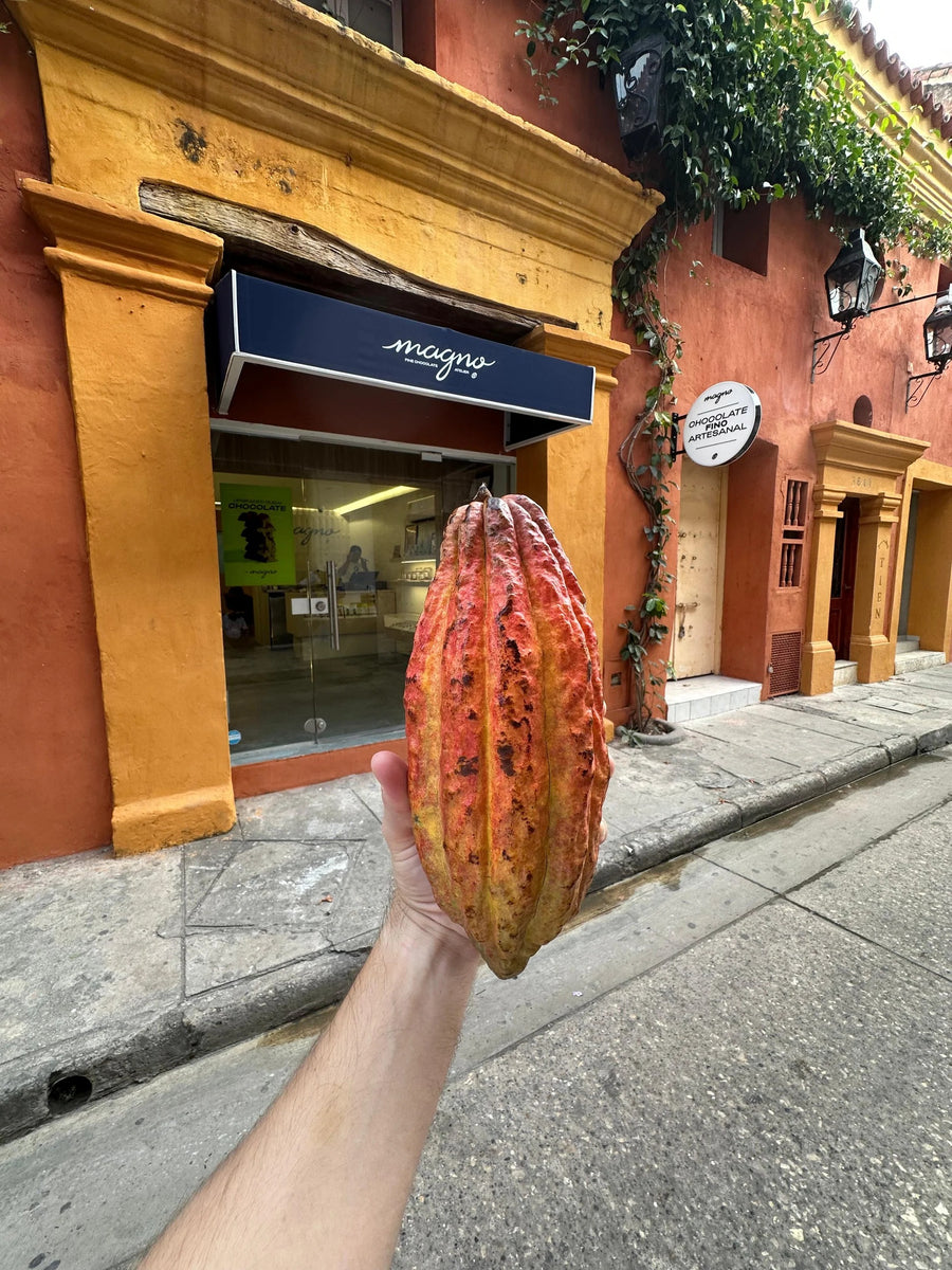 Magno Chocolates Cartagena