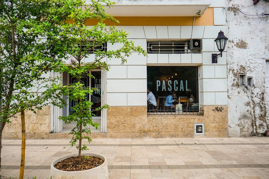 Pascal