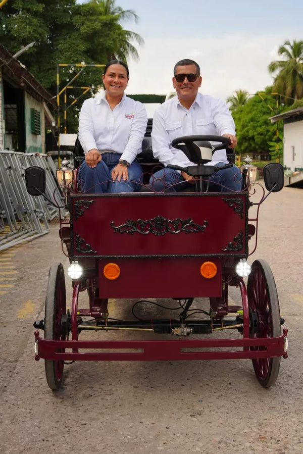 Electric Car Tours
