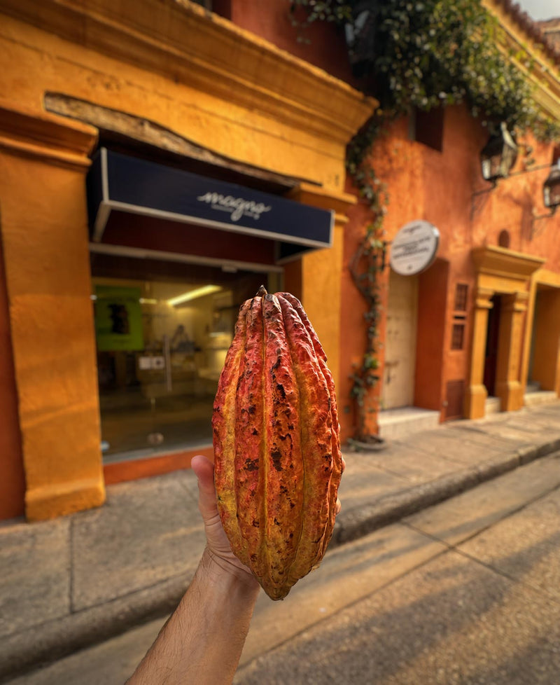 Magno Chocolates Cartagena